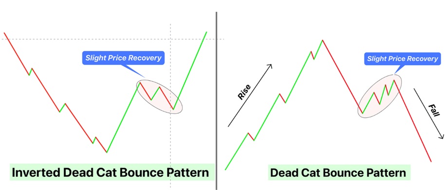a trading chart comparing the Inverted Dead Cat Bounce pattern and Dead Cat Bounce pattern