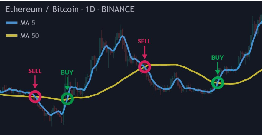 How to Make an Algo Trading Crypto Bot with Python (Part 1) – LearnDataSci