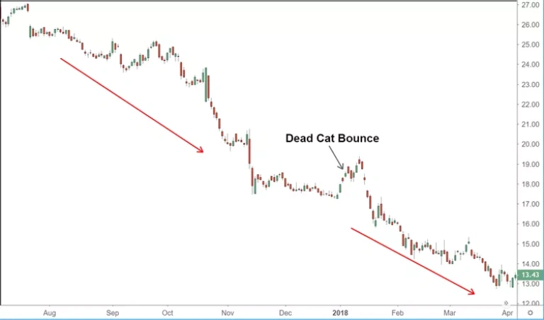 a trading chart showing the Dead Cat Bounce pattern with price recovery followed by a sharp decline