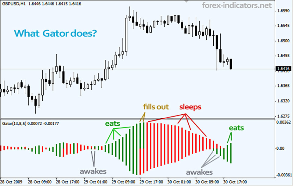 graph showing Gator oscillator