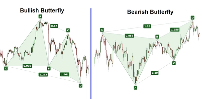 Diagram comparing Bullish and Bearish Butterfly patterns.
