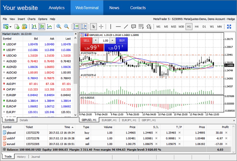 interface of MetaTrader