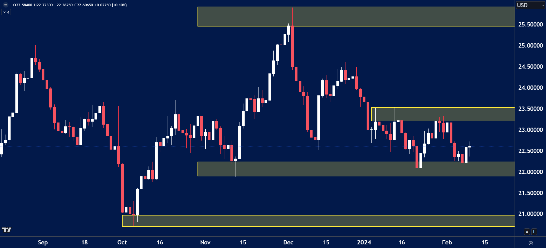 Silver (XAGUSD) daily candlestick chart displaying price action from September 2023 to February 2024.