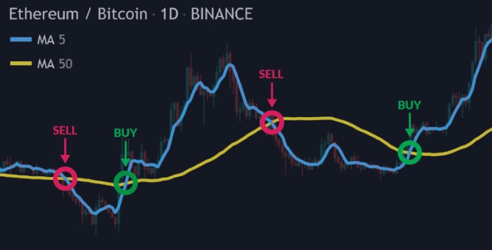 algorithmic trading in cryptocurrency