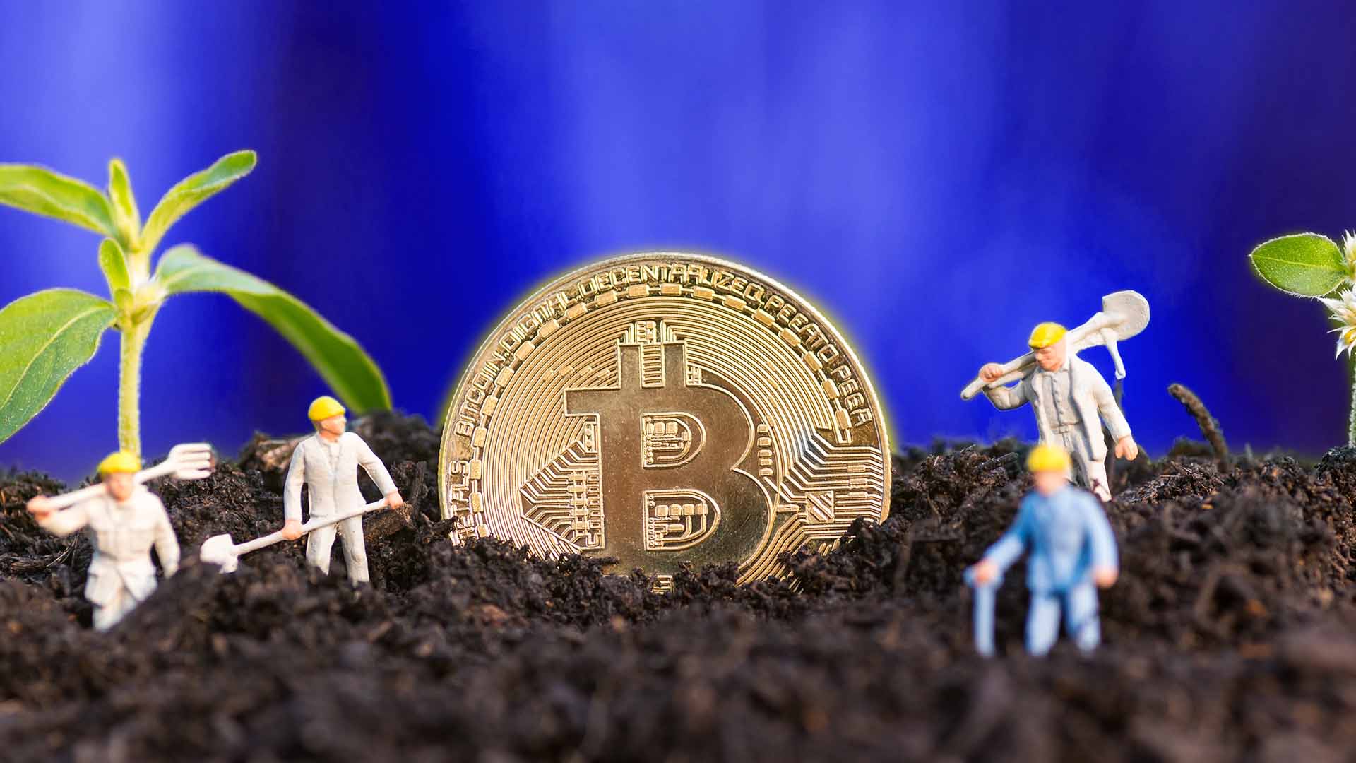 Yield Farming in Crypto: What Is It and How Does It Work?